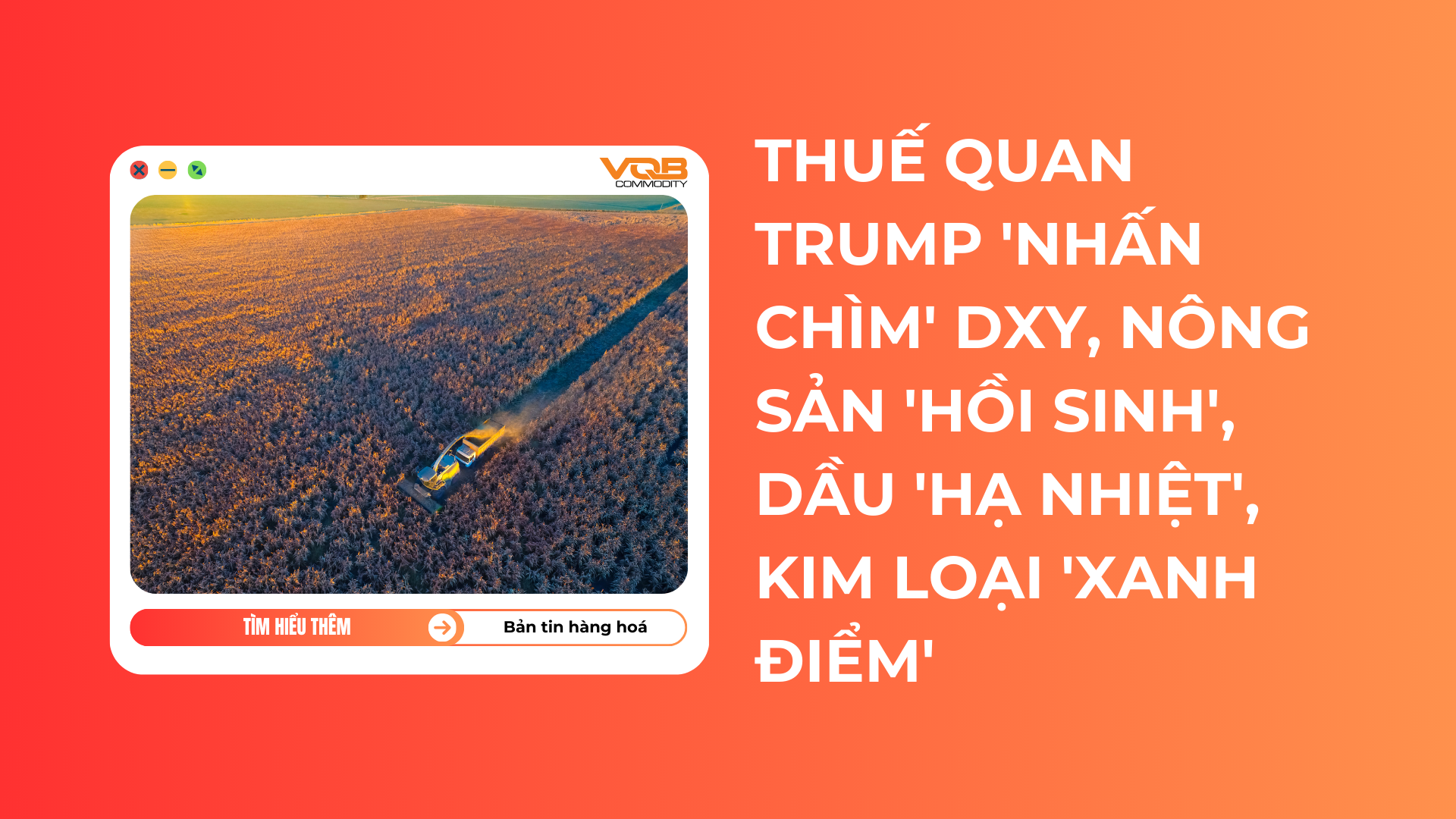 Thuế Quan Trump 'Nhấn Chìm' DXY, Nông Sản 'Hồi Sinh', Dầu 'Hạ Nhiệt', Kim Loại 'Xanh Điểm'